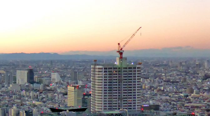 西新宿に東京最高層マンション、9月竣工－三菱地所、旧「けやき橋商店街」跡に