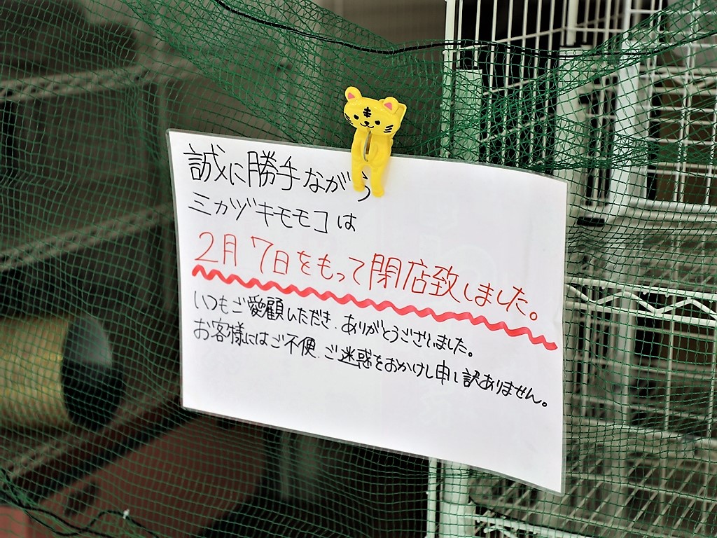 mikazukimomoko_kamishinplaza_i